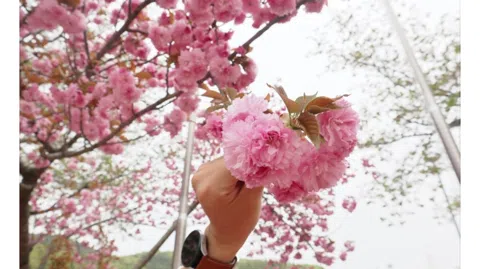 정모 대표 이미지