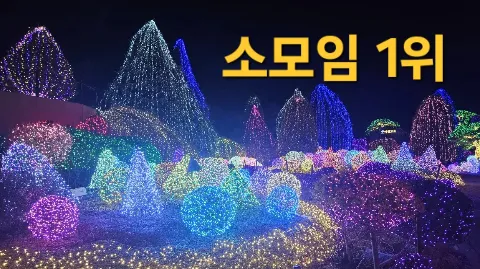 정모 대표 이미지