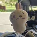 member face