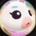member face