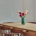 member face