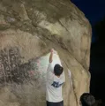 member face
