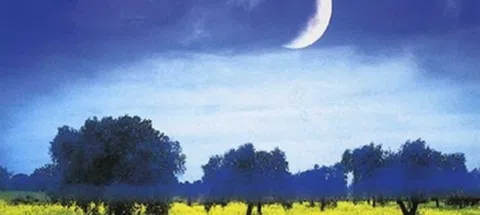 모임 대표 이미지