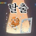 member face