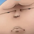 member face