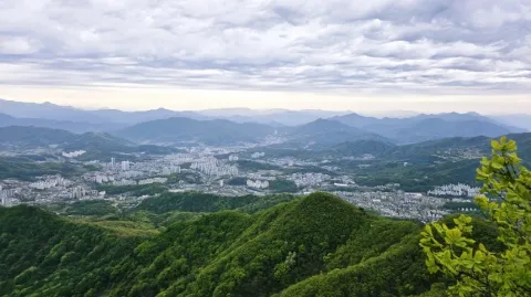 정모 대표 이미지