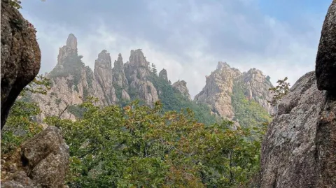 정모 대표 이미지