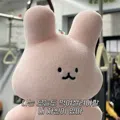 member face