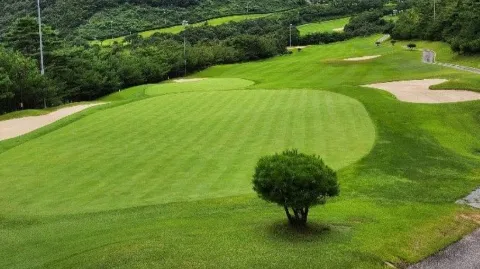 정모 대표 이미지