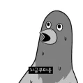 member face