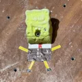 member face