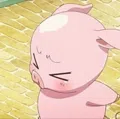 member face