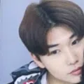 member face