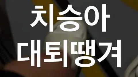 정모 대표 이미지