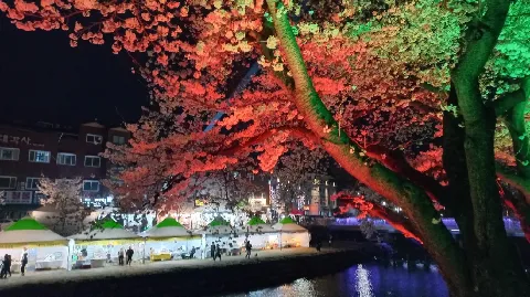 정모 대표 이미지