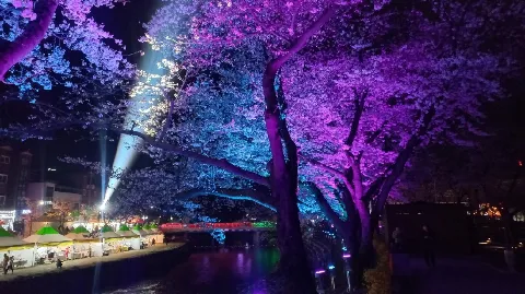 정모 대표 이미지