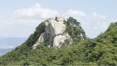 정모 대표 이미지
