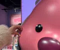 member face