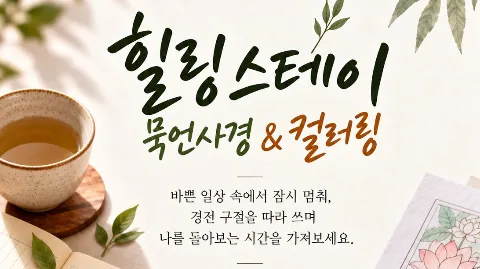 정모 대표 이미지