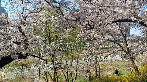 정모 대표 이미지