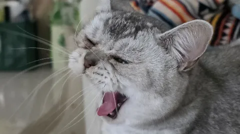 정모 대표 이미지