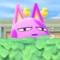 member face
