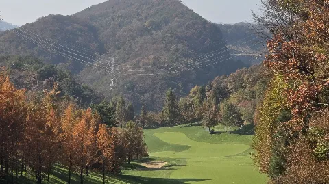 정모 대표 이미지