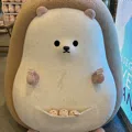 member face