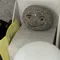 member face