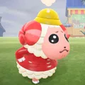 member face