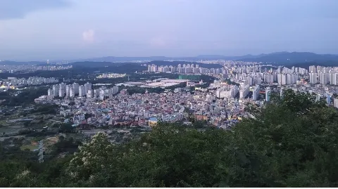 정모 대표 이미지