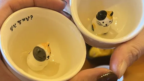 정모 대표 이미지