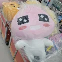 member face