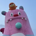 member face