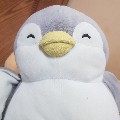 member face