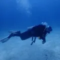 member face