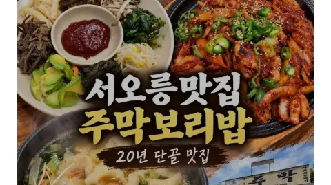 정모 대표 이미지