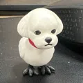 member face