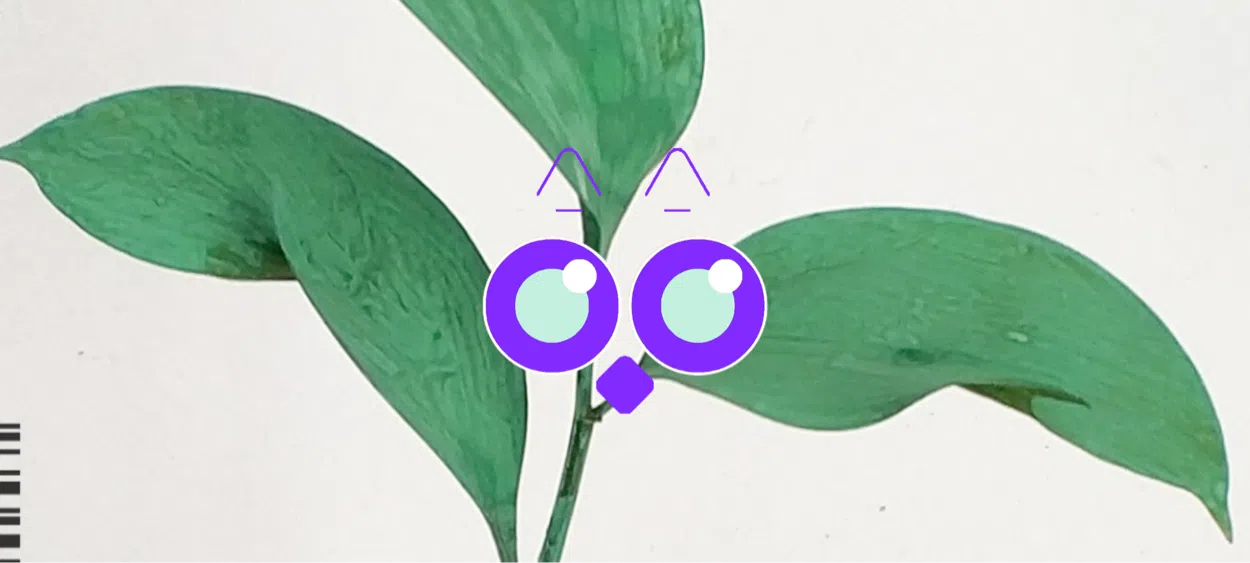 모임 이미지 1