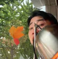 member face
