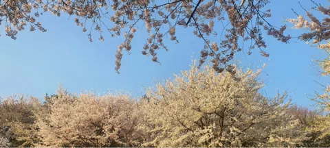 모임 대표 이미지