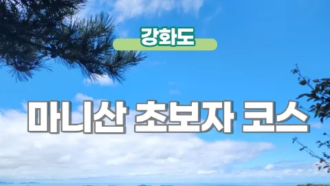 정모 대표 이미지