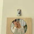 member face