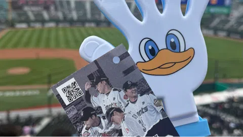 정모 대표 이미지