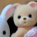 member face