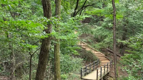 정모 대표 이미지