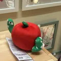 member face