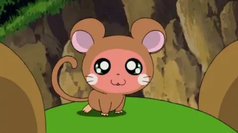 정모 대표 이미지