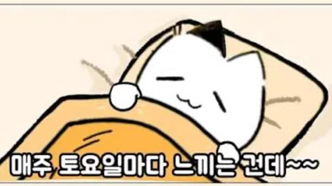 정모 대표 이미지