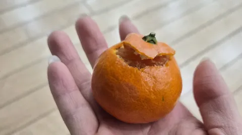 정모 대표 이미지